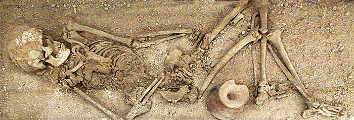'Prehistorical Skelleton in a Burial Site in Lopburi Province' by Asienreisender